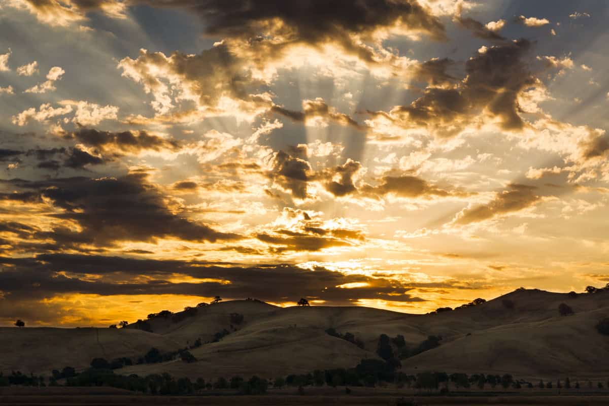 A dramatic sunrise over golden rolling hills dotted with oaks.