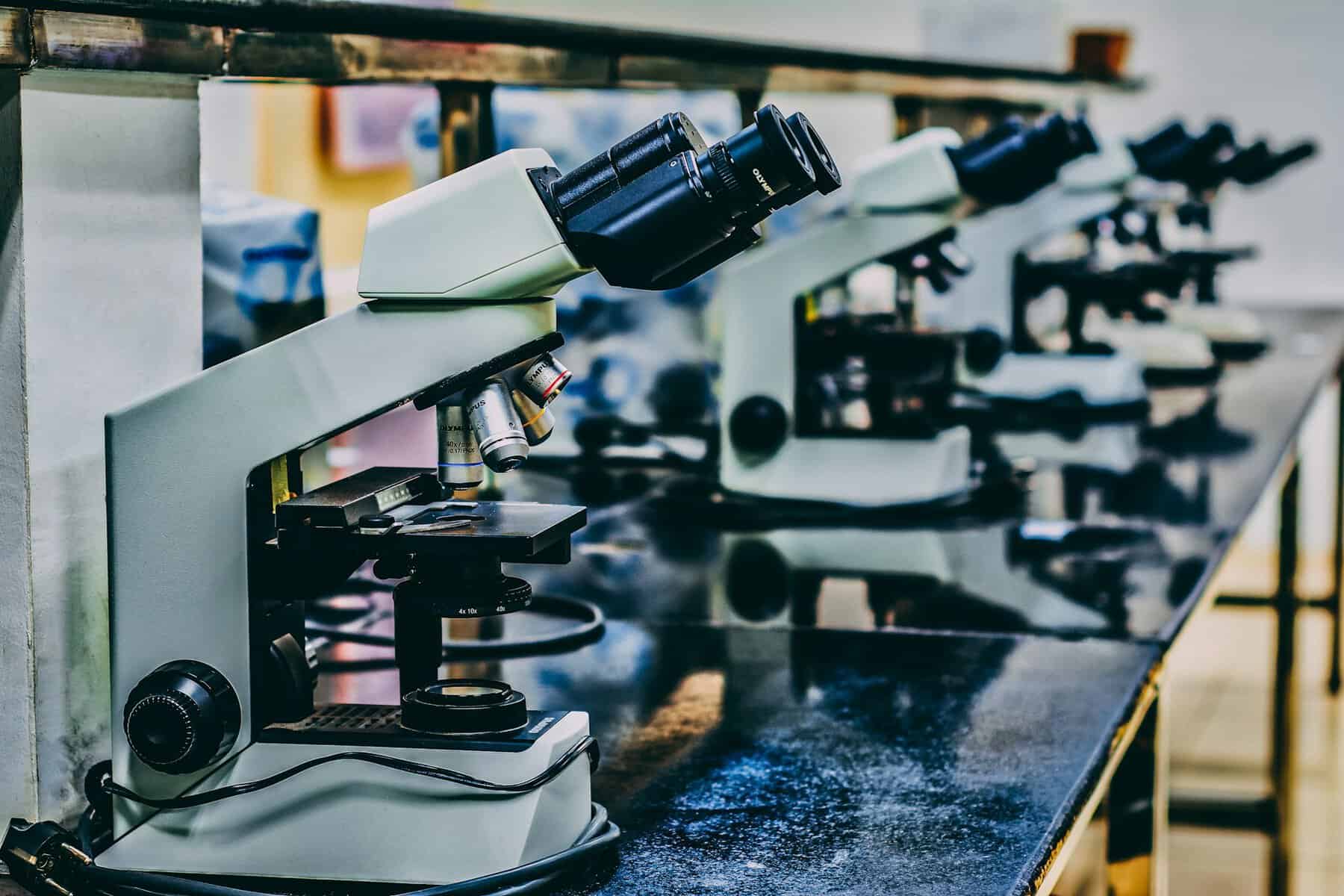 A row of microscopes in a lab.