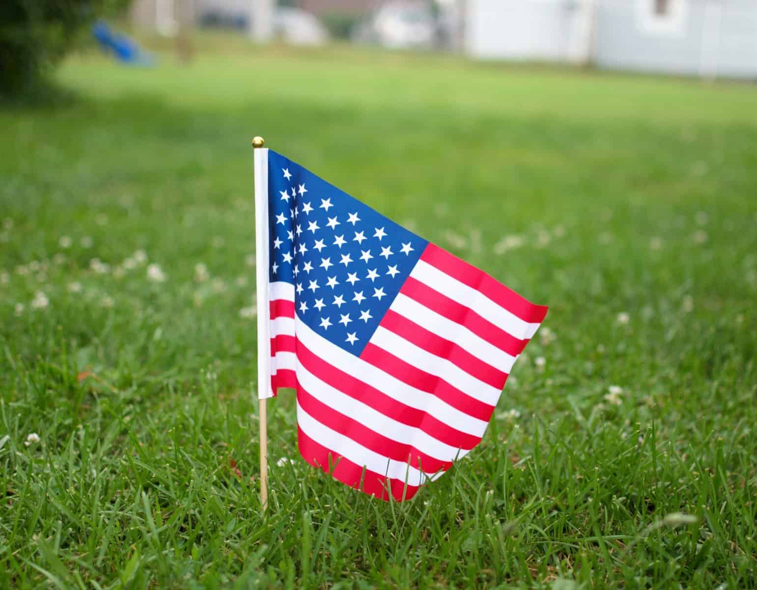 A small US flag stands in a lawn.