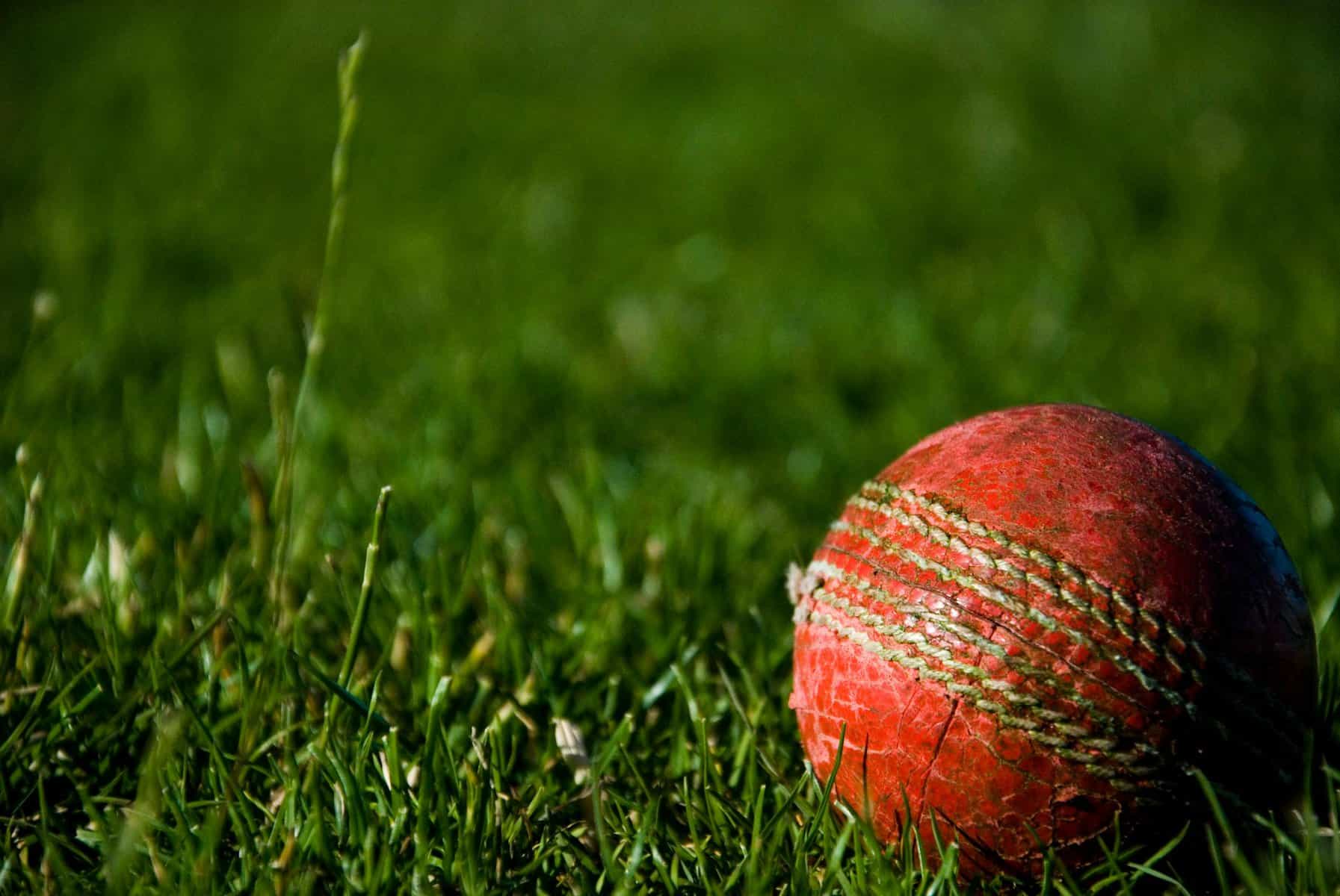 A red cricket ball in green grass.