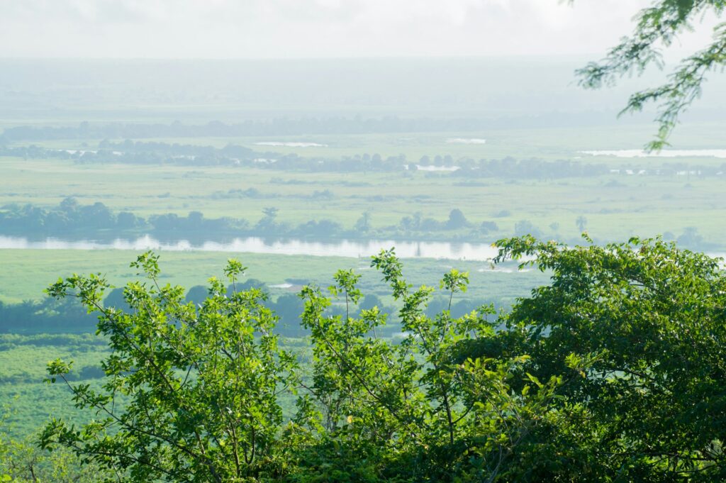 A nature scene from Angola.