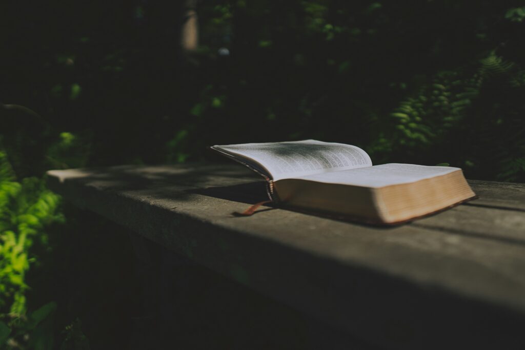 Bible open on a wooden bench in a moody outside setting