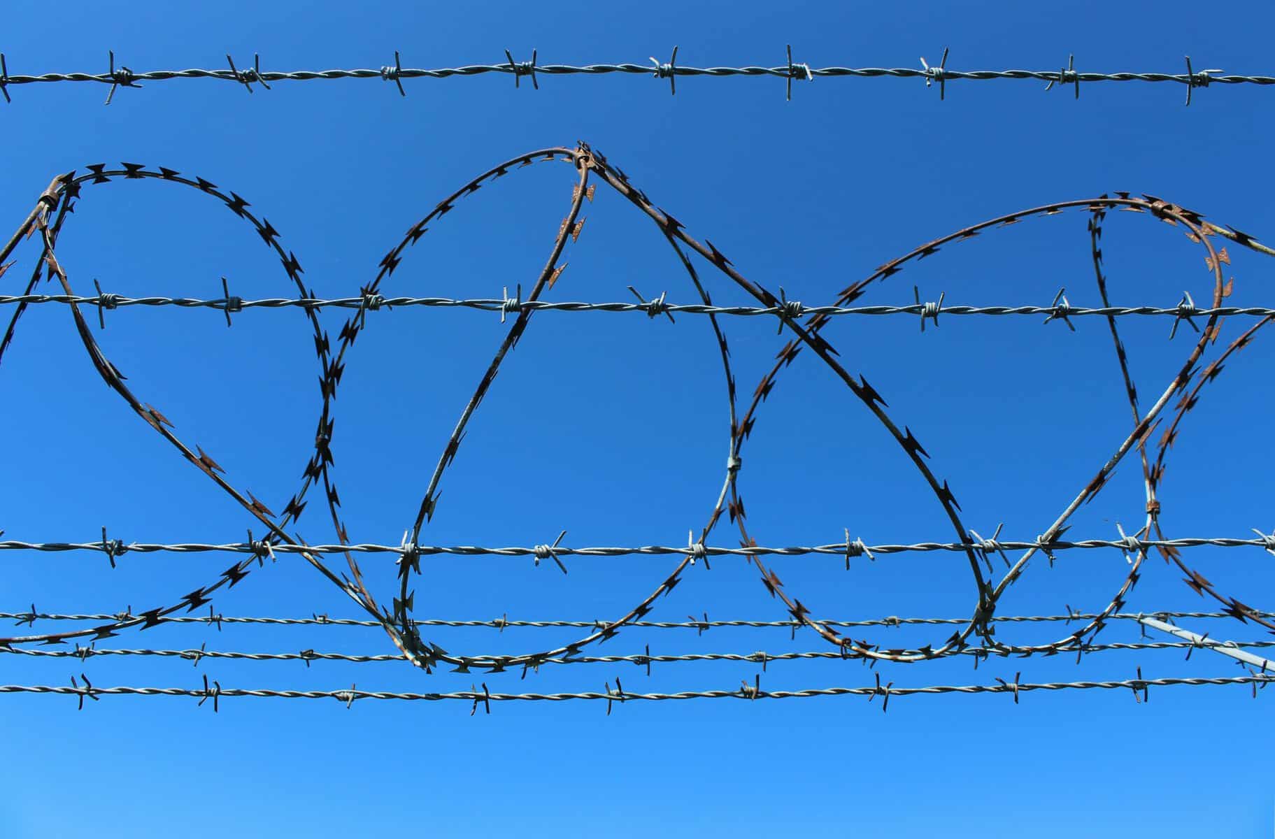 coiled barbed wire