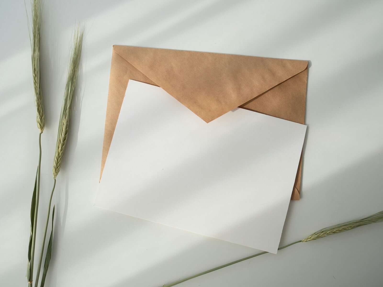 White paper and a brown envelope with sprigs of green wheat.