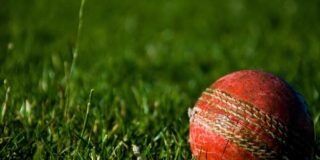 A red cricket ball in green grass.