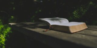 Bible open on a wooden bench in a moody outside setting