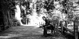 Reading aesthetics in a redwood forest