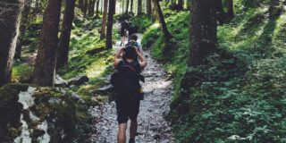 People are shown in low light walking away from the camera on a forest trail.