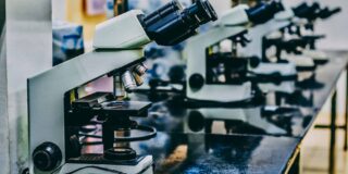 A row of microscopes in a lab.