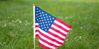 A small US flag stands in a lawn.